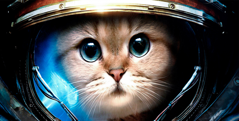 Una gatta nello spazio