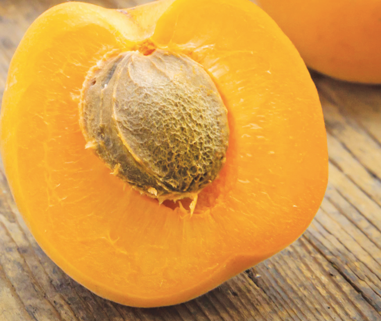 albicocca storia e proprietà nutritive