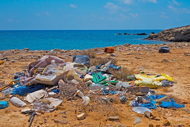 Ambiente: fermiamo l’invasione delle microplastiche