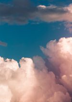 pexels-ruvim-3560044