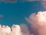 Foto di Ruvim da Pexels