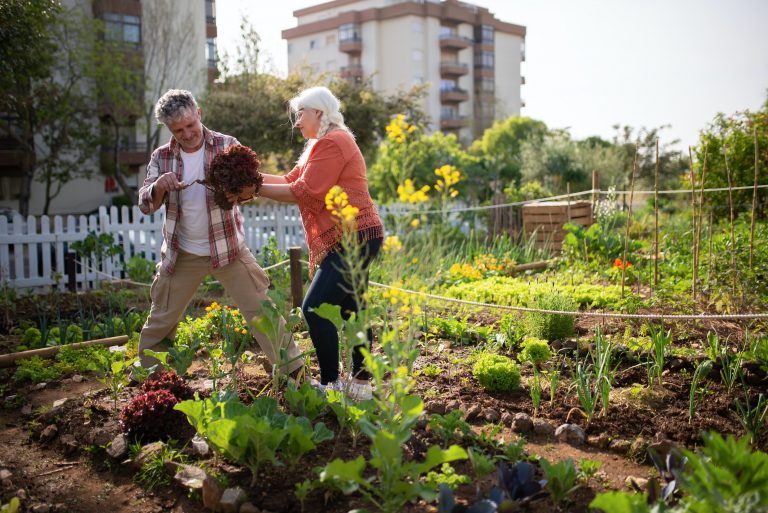 Nuovi stili di vita. L’orto, che passione