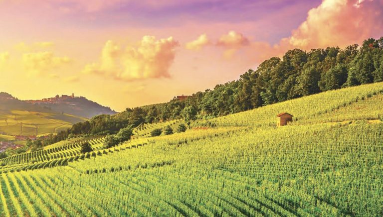 Le Langhe. Colline, castelli e vigneti