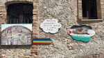 RIACE 6