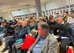 senigallia 6