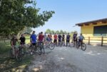 Erbè campo18