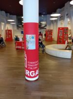 mostra bg2